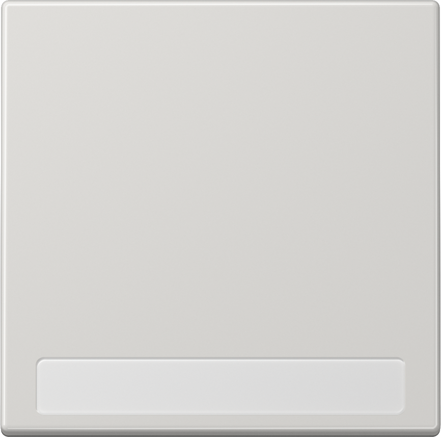 501U+LS990NALG 1 way Switch, 1 gang, 10AX, mask for switch and pushbutton, with label, light gray, duroplast